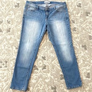 Torrid Jeans Short length